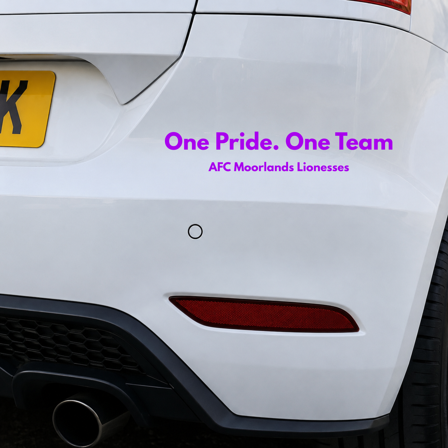 One Pride One Team AFC - Vinyl Car Decal