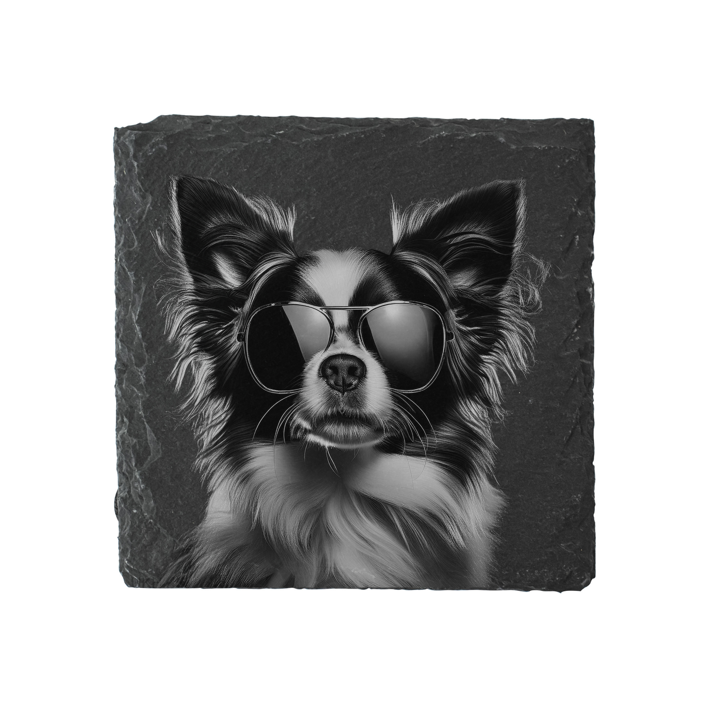 Papillon - Sunglasses - Engraved Slate Coaster