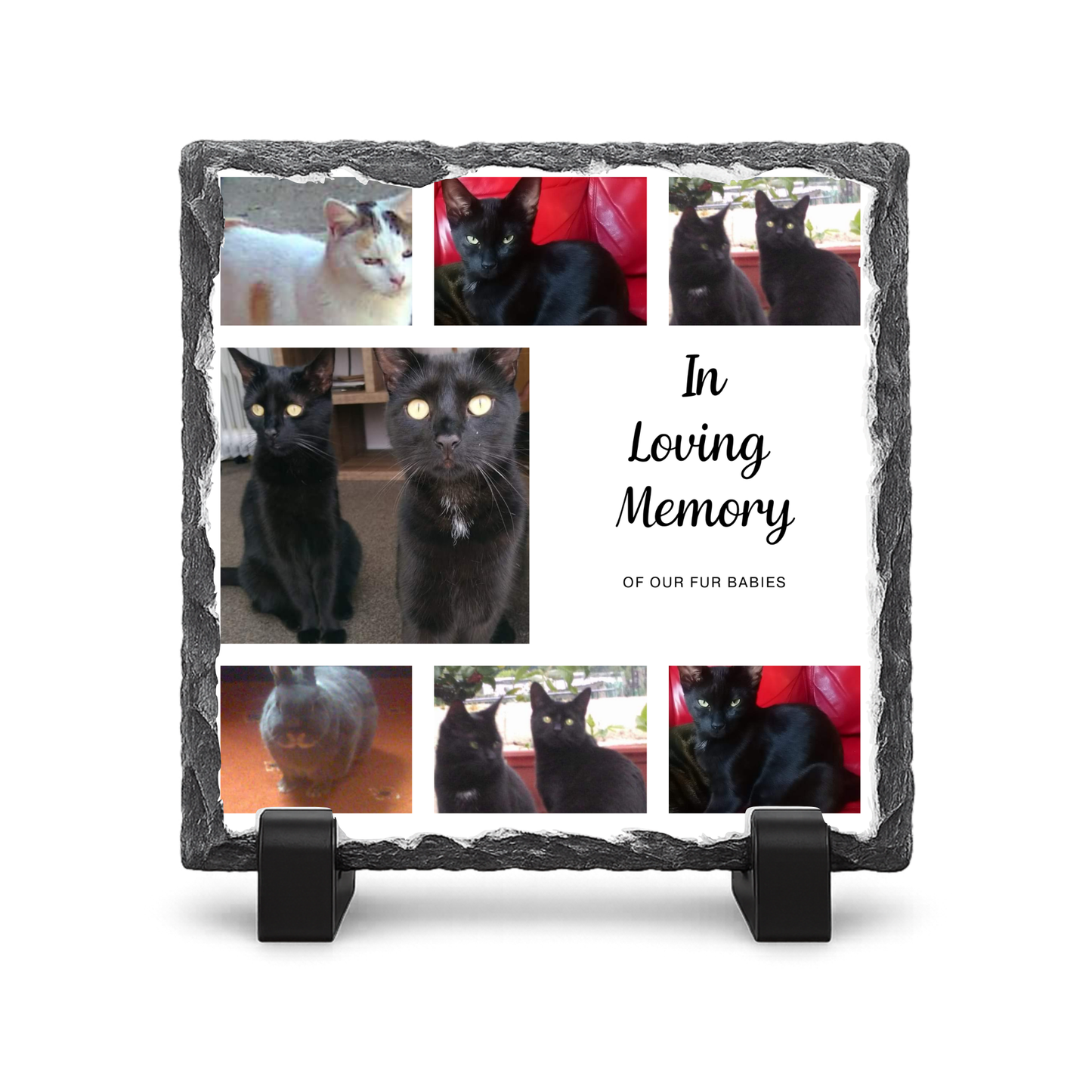 Pet Remembrance 7 Photo - Gloss Rock Slate 20x20cm