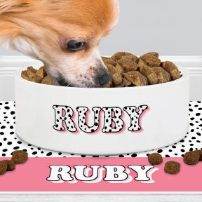 Pets & Pet Lovers