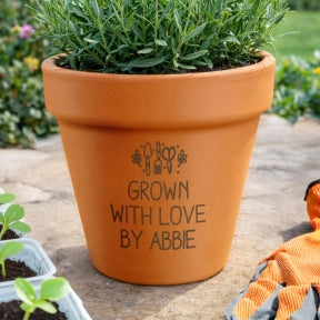Gardening and Outdoors