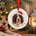 Personalised Watercolour Pet Portrait Ceramic Christmas Bauble