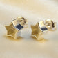 Small silver Star Studs - 0276S