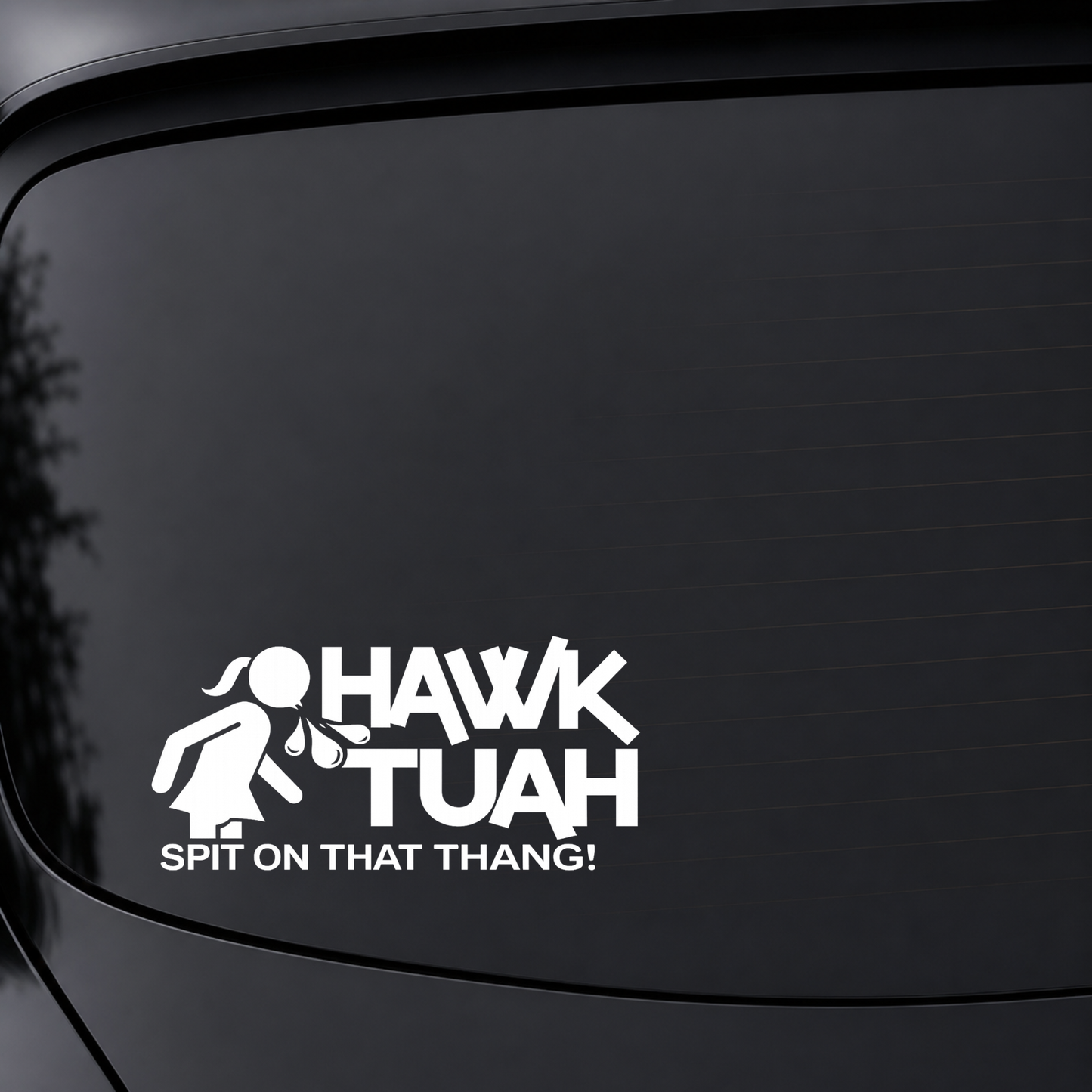 Hawk Tuah - Vinyl Decal