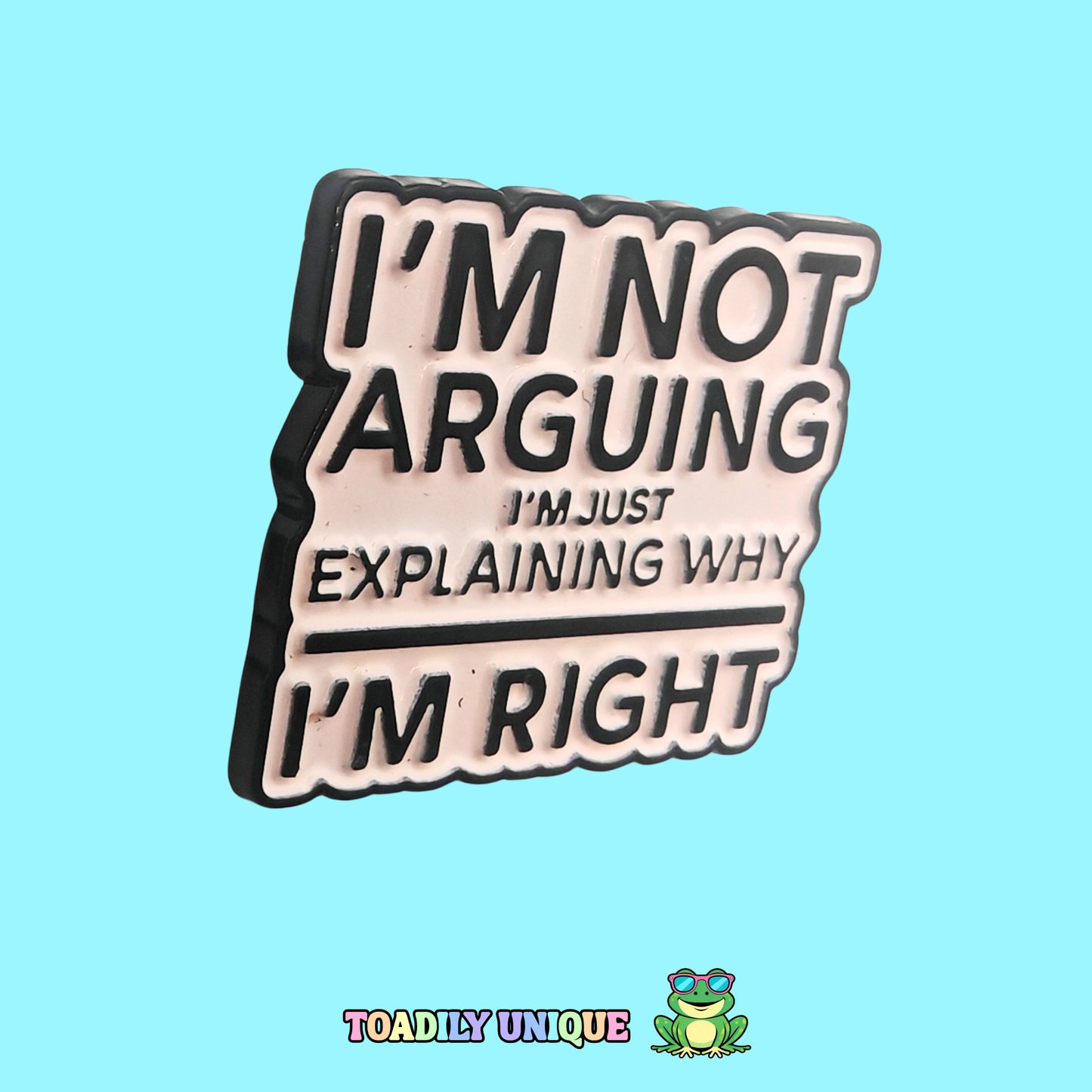 I'm not arguing... Pin Badge