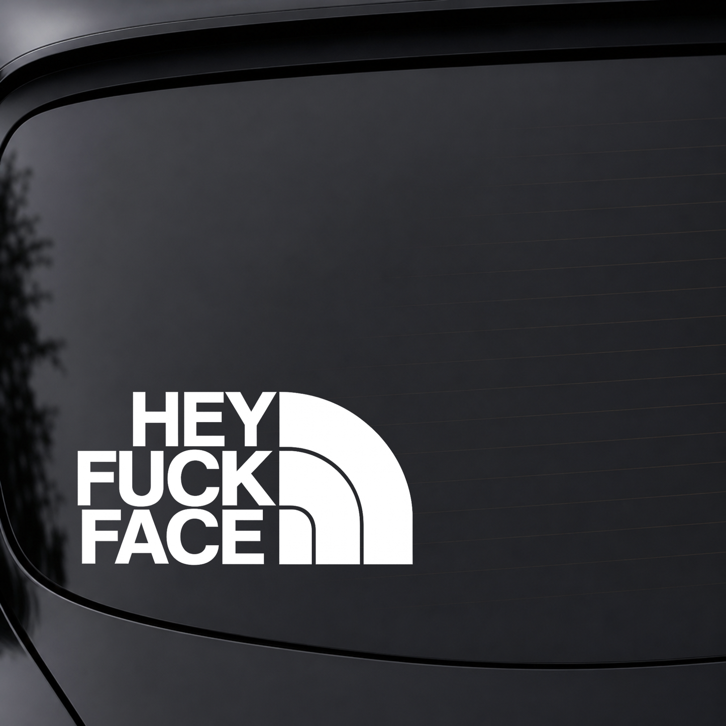 Hey Fuck Face - Vinyl Decal