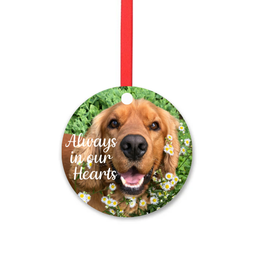 Photo Pet Memorial Decoration