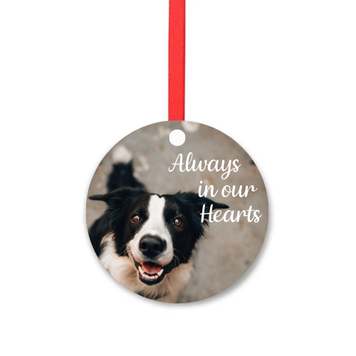 Photo Pet Memorial Decoration