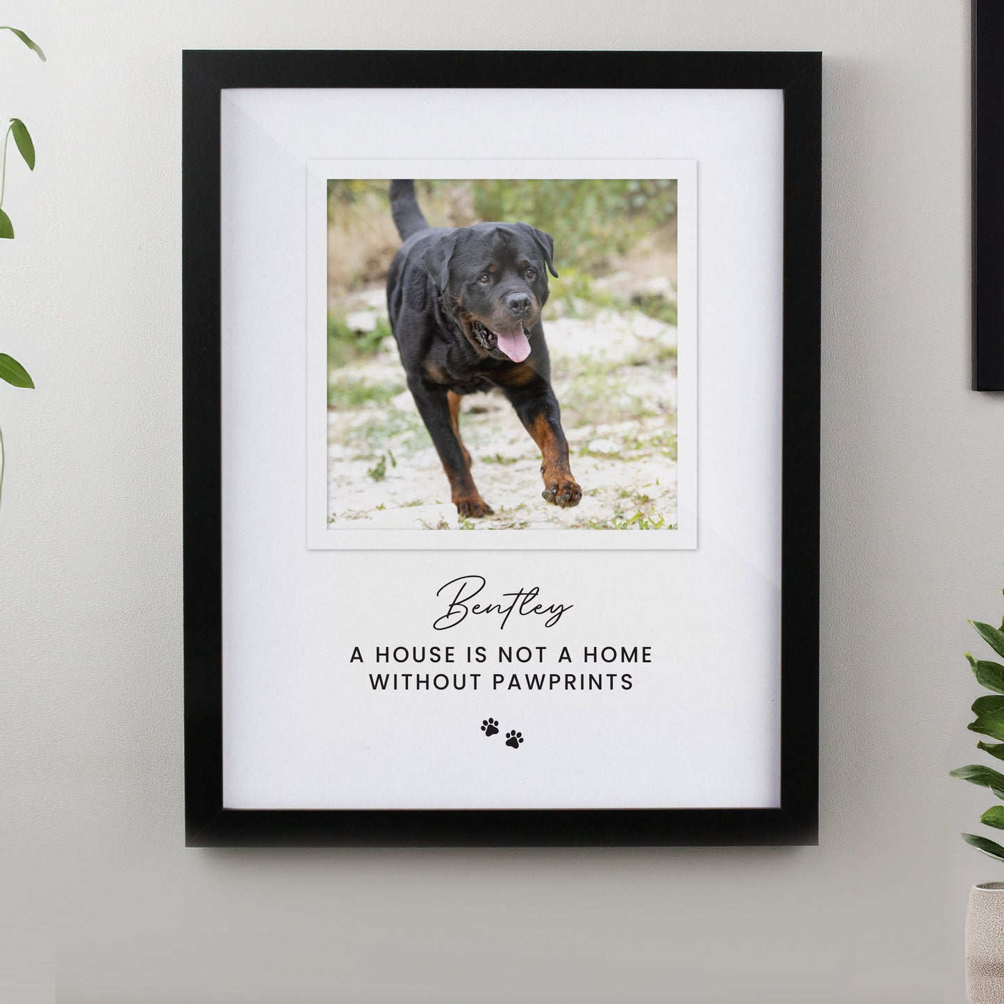 Personalised Pet Photo Upload - Black Framed Print