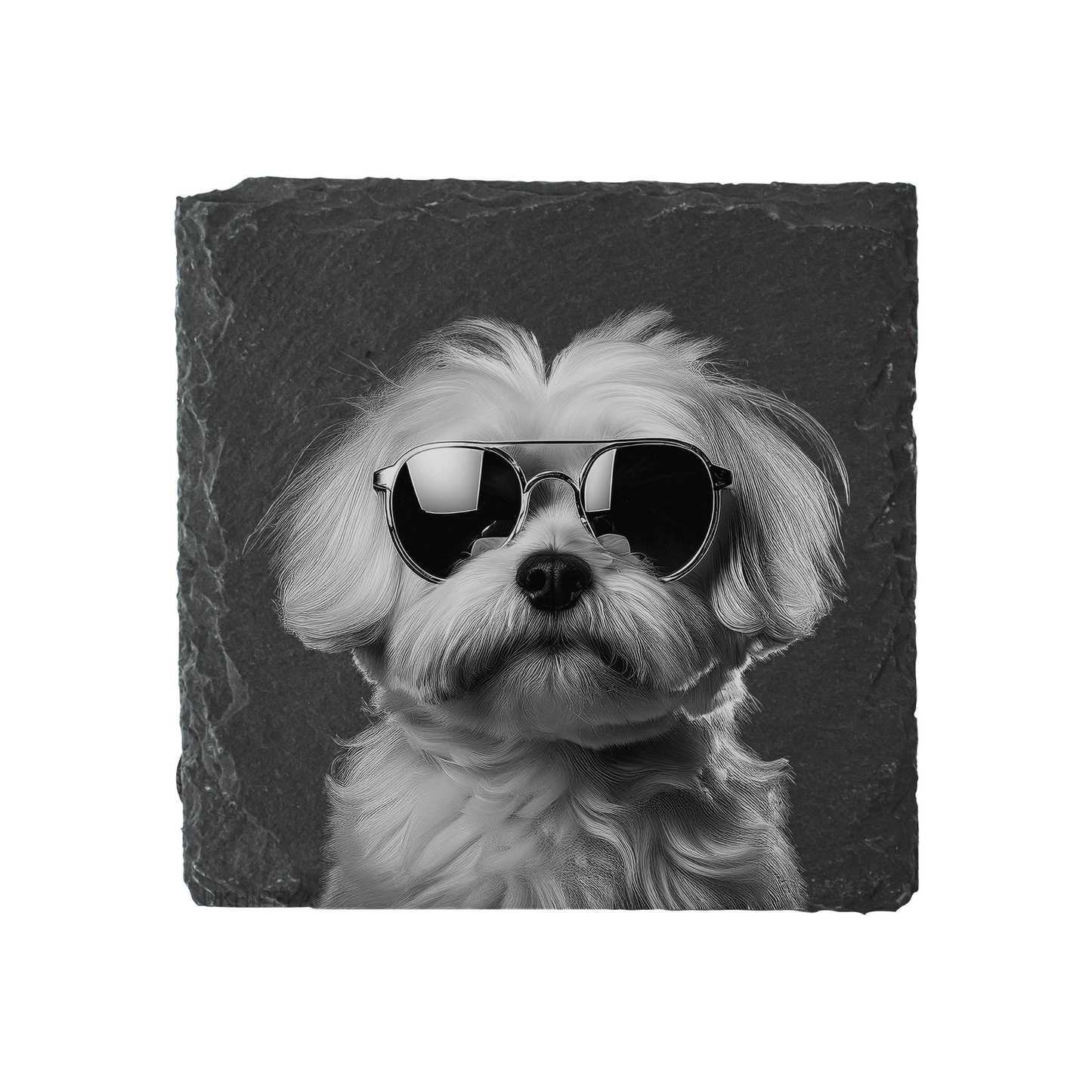 Maltese - Sunglasses - Engraved Slate Coaster