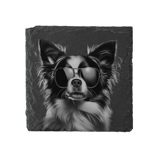 Papillon - Sunglasses - Engraved Slate Coaster