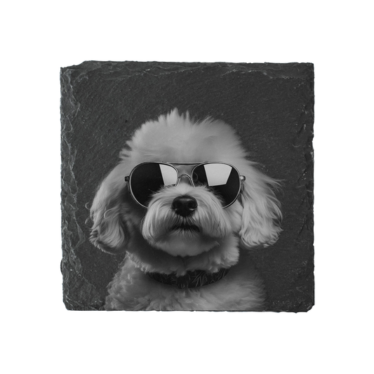 Bichon Frise - Sunglasses - Engraved Slate Coaster