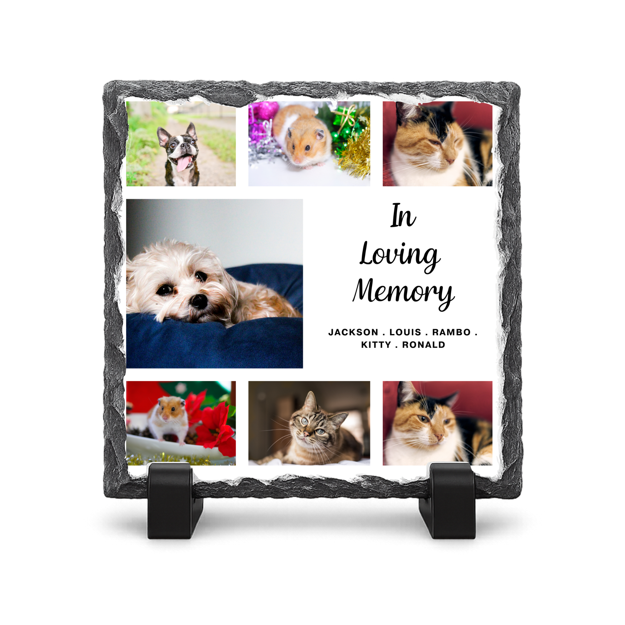 Pet Remembrance 7 Photo  - Gloss Rock Slate 20x20cm