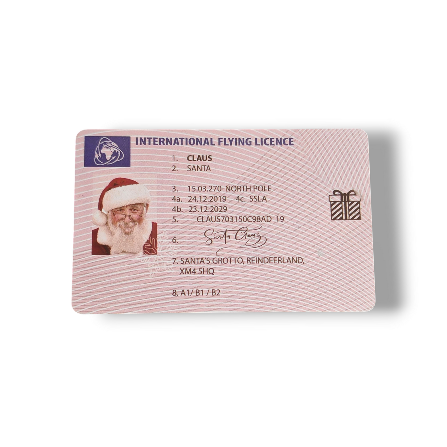 Santa's Lost License