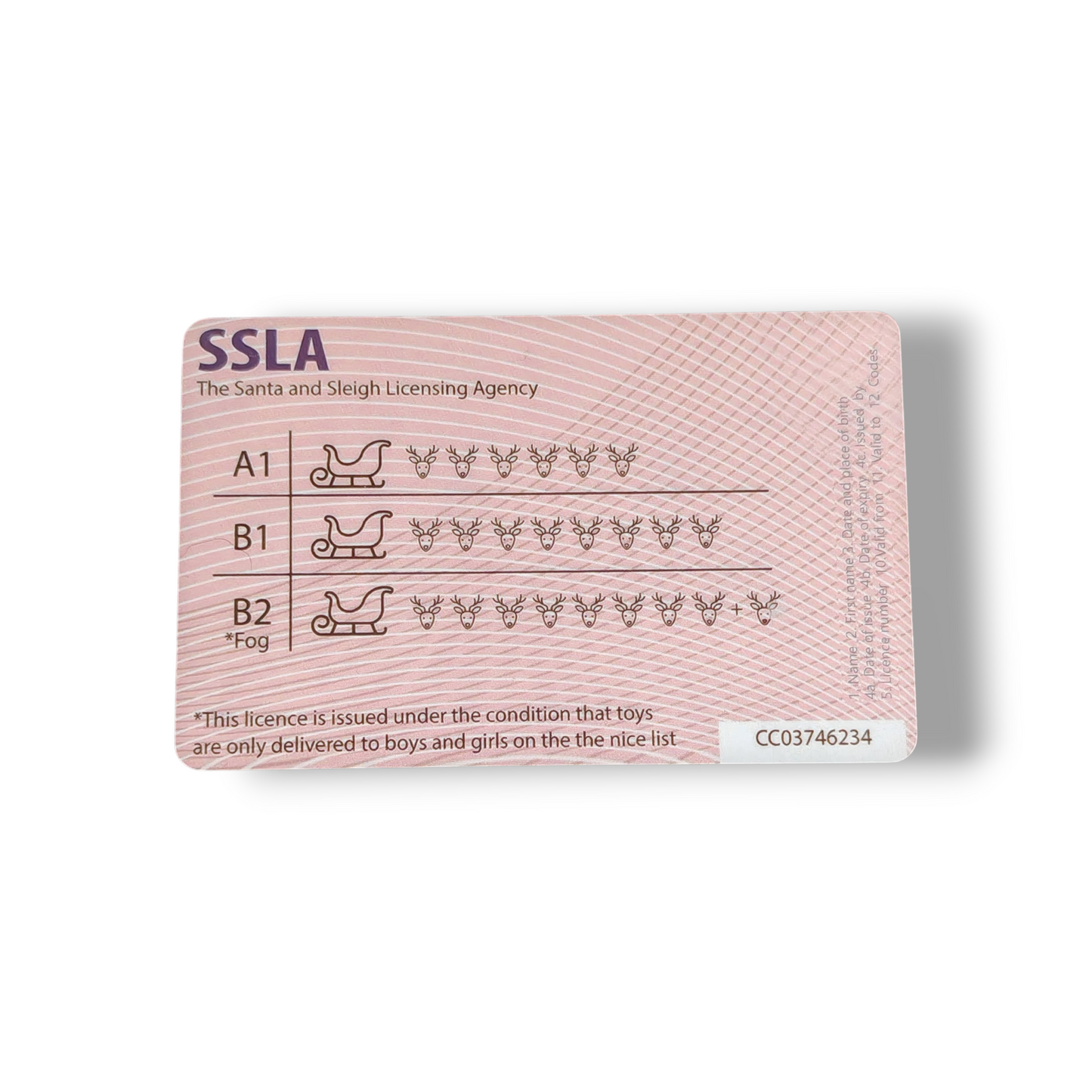 Santa's Lost License